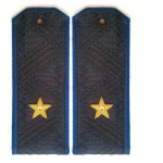 Погоны генерал-майор ФСБ на китель повседневные