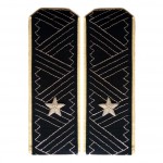 Погоны государственный советник РФ 1 класса ФГГС МО повседневные