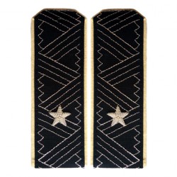 Погоны государственный советник РФ 1 класса ФГГС МО повседневные