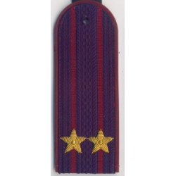 Погоны УИС вышитые Подполковник повседневные
