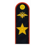 Погоны генерал Полиции РФ повседневные на китель и куртку