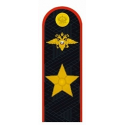 Погоны генерал Полиции РФ повседневные на китель и куртку