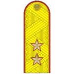 Погоны генерал-лейтенант ФСИН на китель парадные метанит
