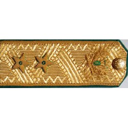 Погоны ФССП действительный государственный советник РФ 2 класса на китель парадные