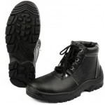 Ботинки Ти-Рекс