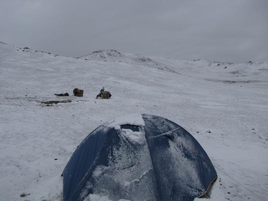 Схема Rondo 2 Plus