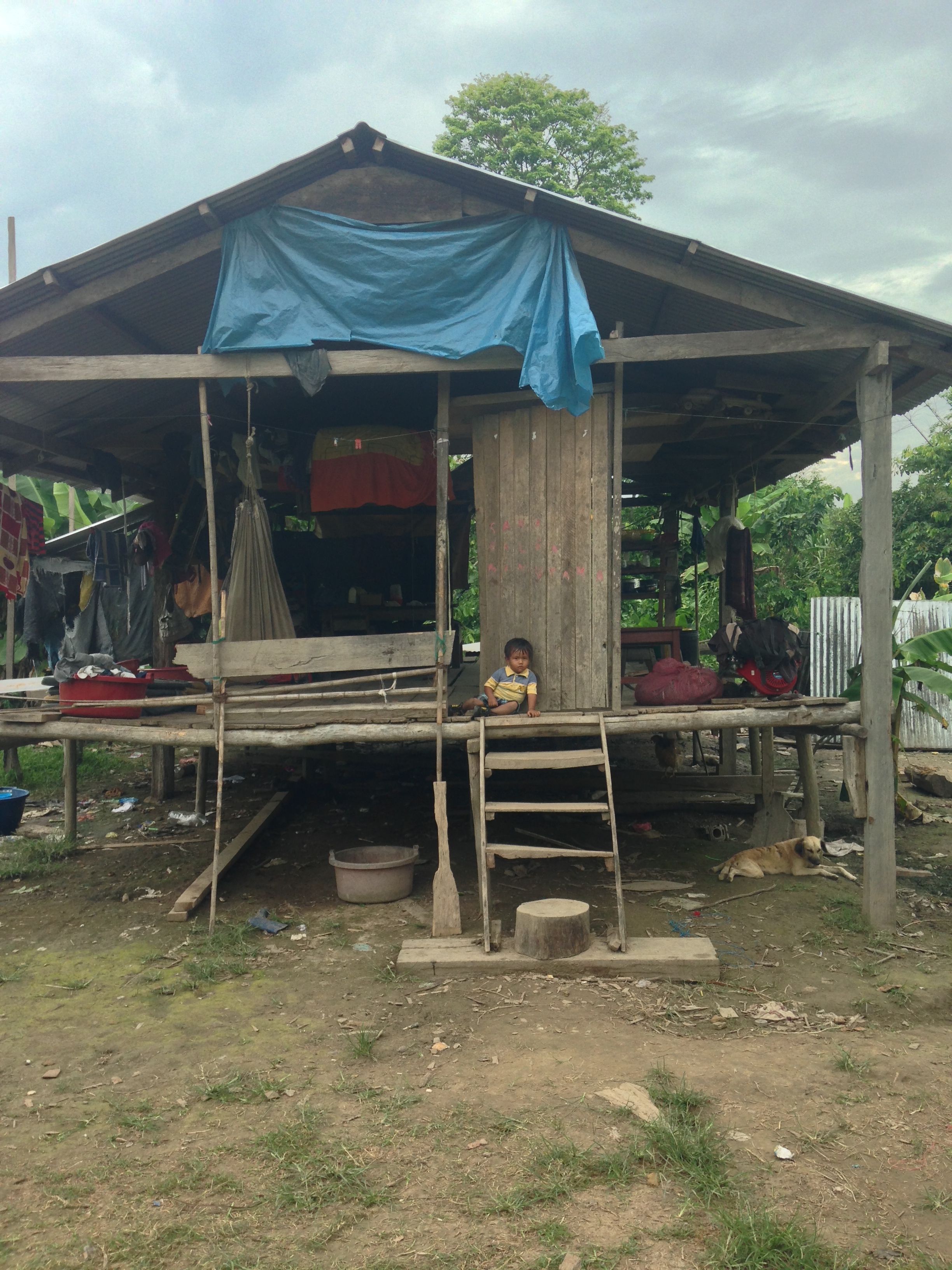  Тестирование палаток в джунглях Амазонки