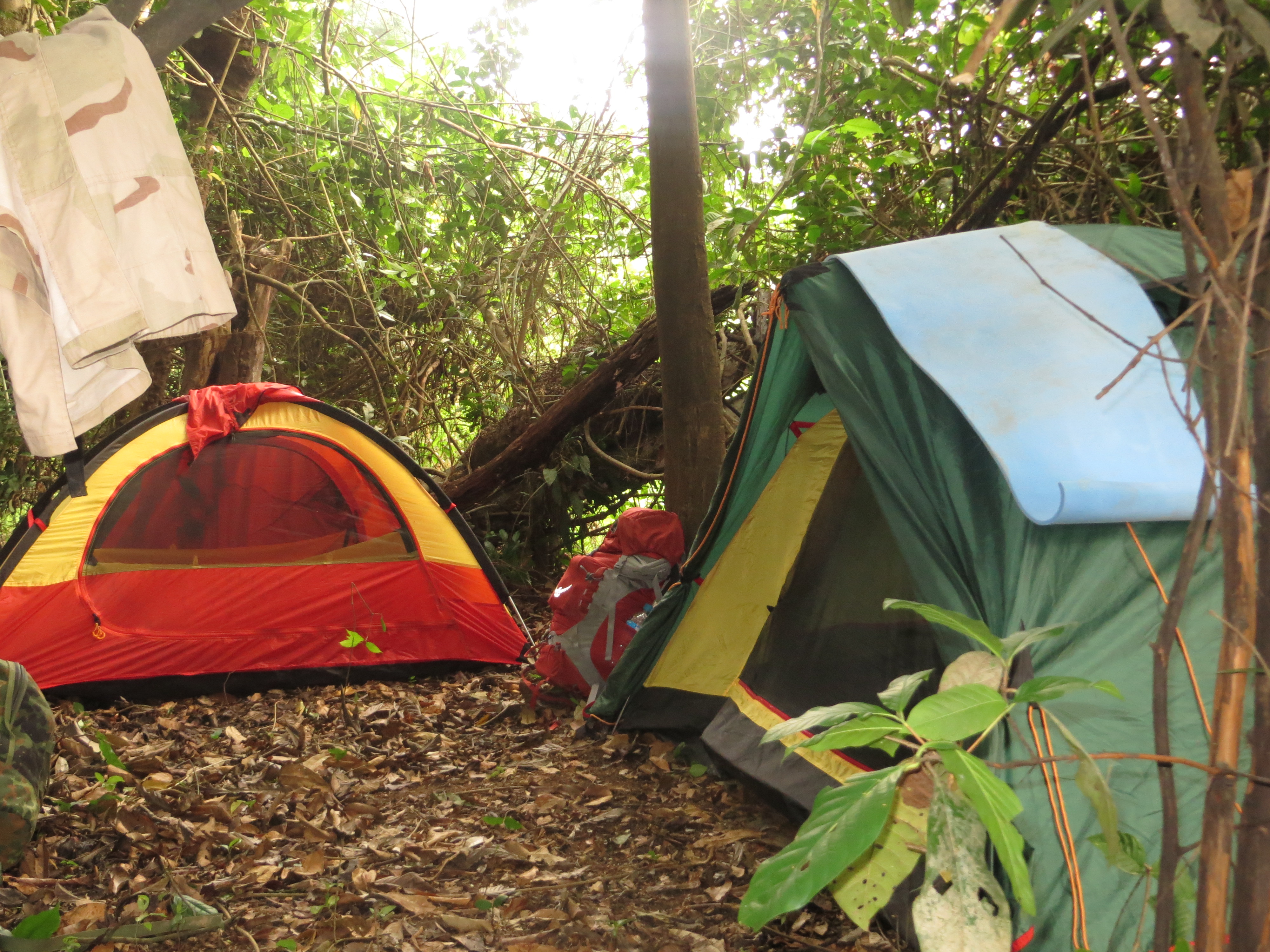  Тестирование палаток в джунглях Амазонки