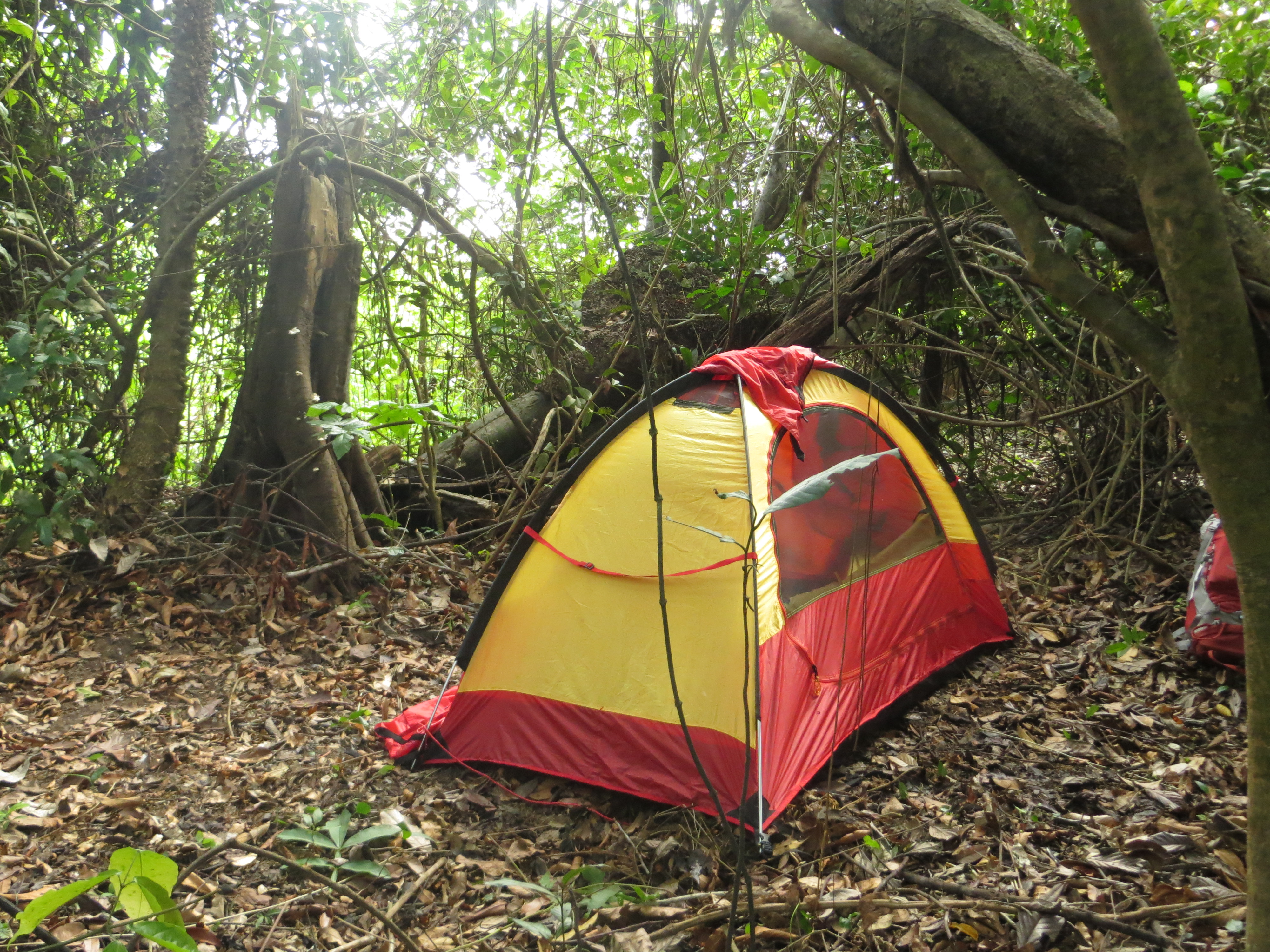  Тестирование палаток в джунглях Амазонки