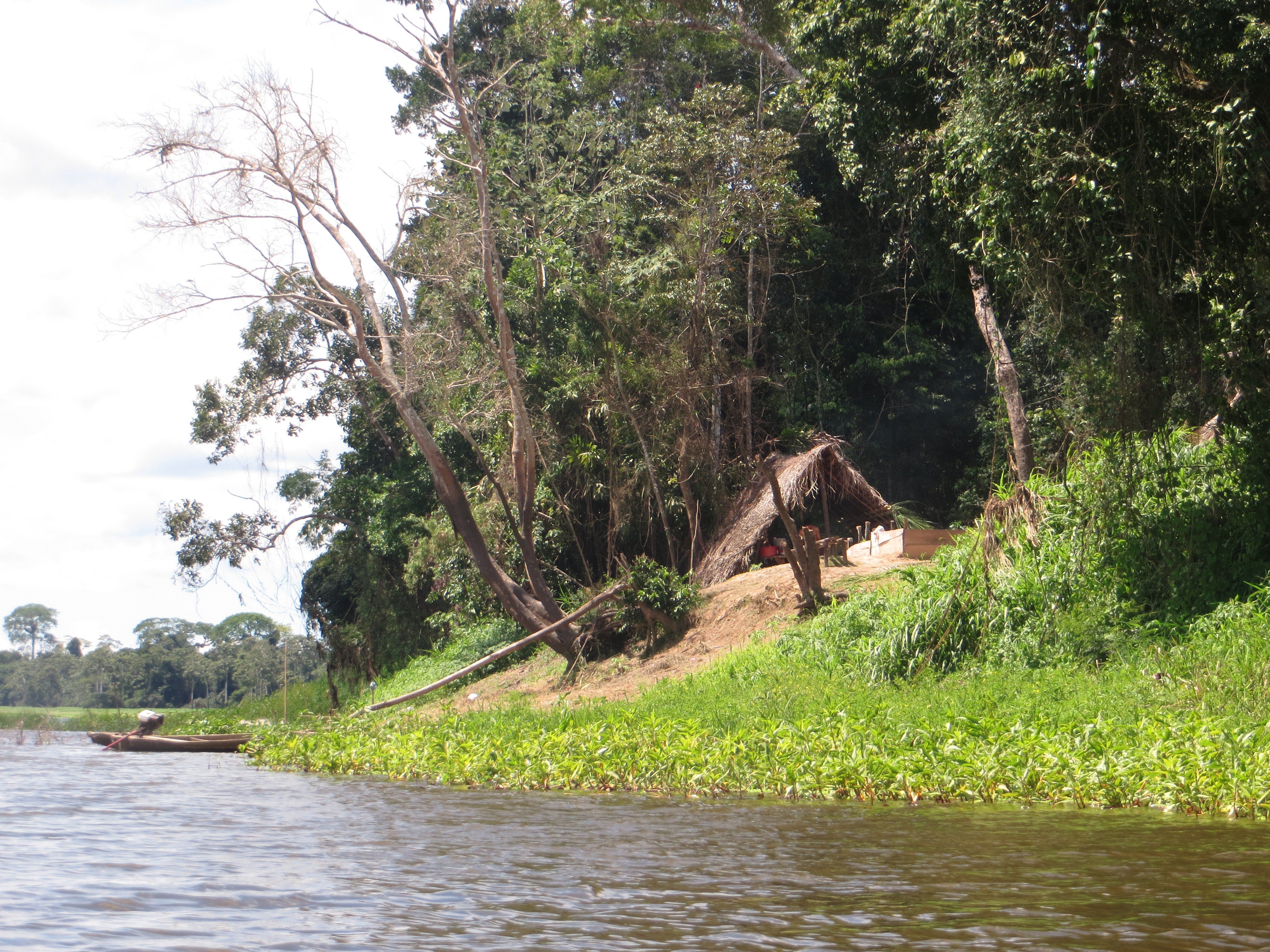  Тестирование палаток в джунглях Амазонки