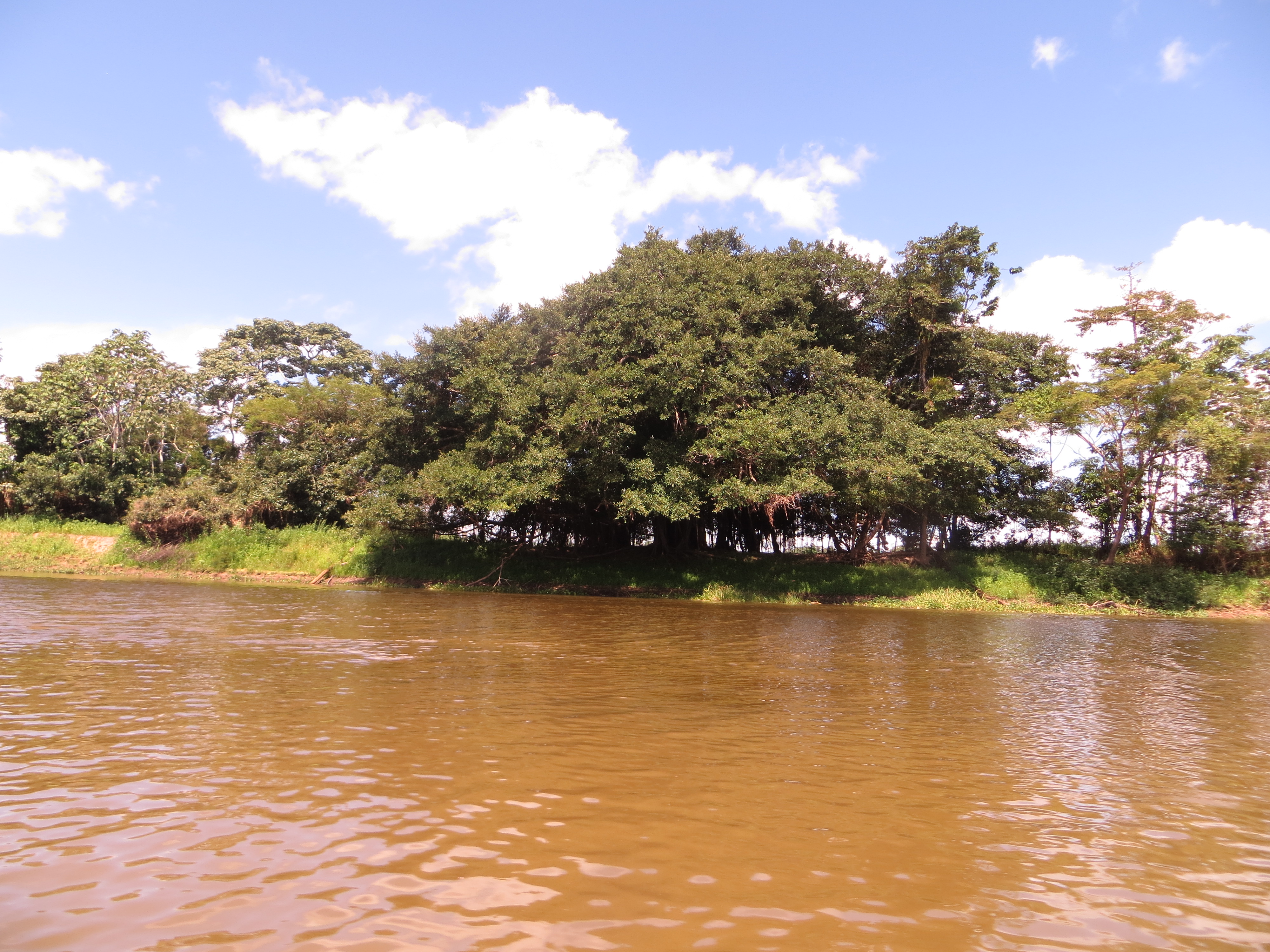  Тестирование палаток в джунглях Амазонки