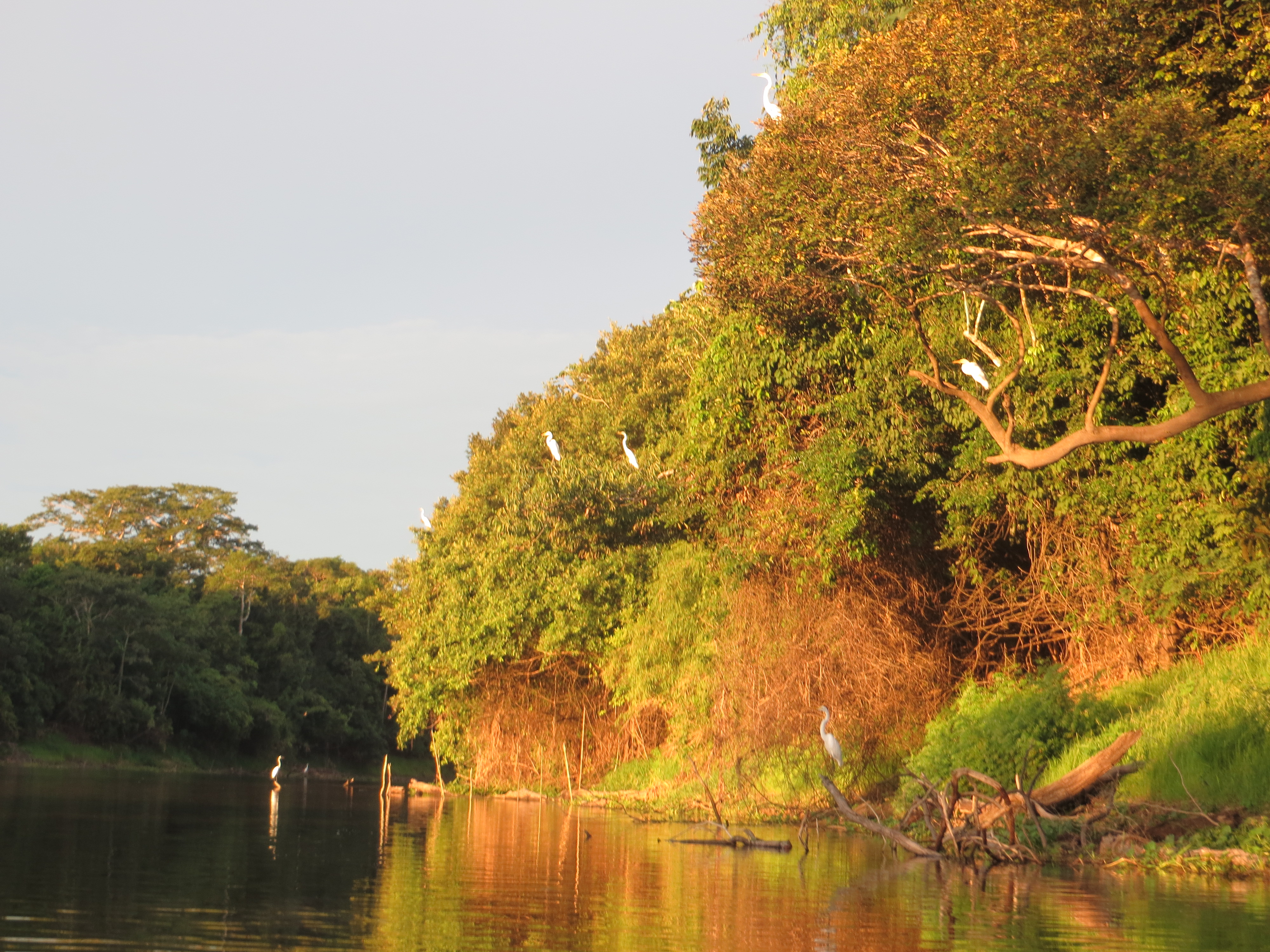  Тестирование палаток в джунглях Амазонки